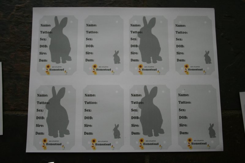Rabbit Name Tags - Free Printable - Mid Atlantic Homestead