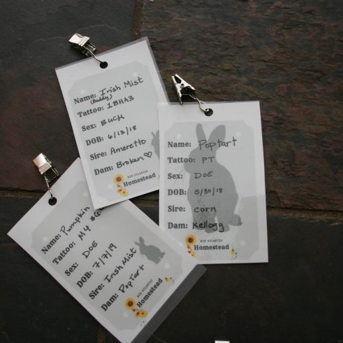 Rabbit Name Tags - Free Printable - Mid Atlantic Homestead