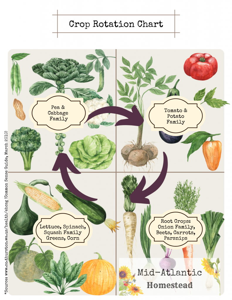 How To Grow Your Best Garden In 2023 Mid Atlantic Homestead